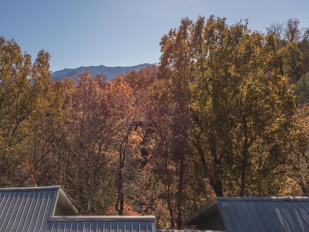 Sasquatch Lodge E Sleeps 13 แกตลิงเบิร์ก ภายนอก รูปภาพ